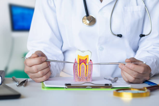 Best Urgent Tooth Repair  in West Falmouth, MA
